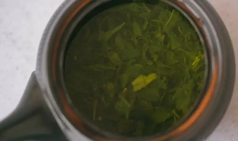 Hojas de té verde