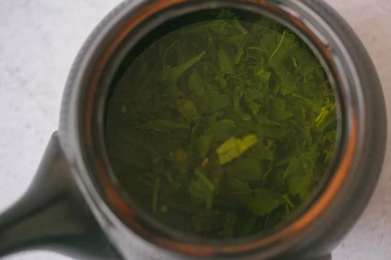 Hojas de té verde